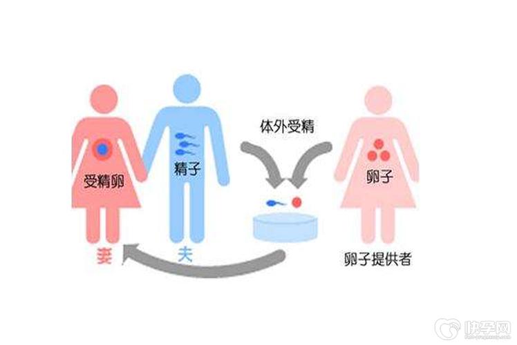 供卵自怀到底好不好-供卵自怀:值得吗?
